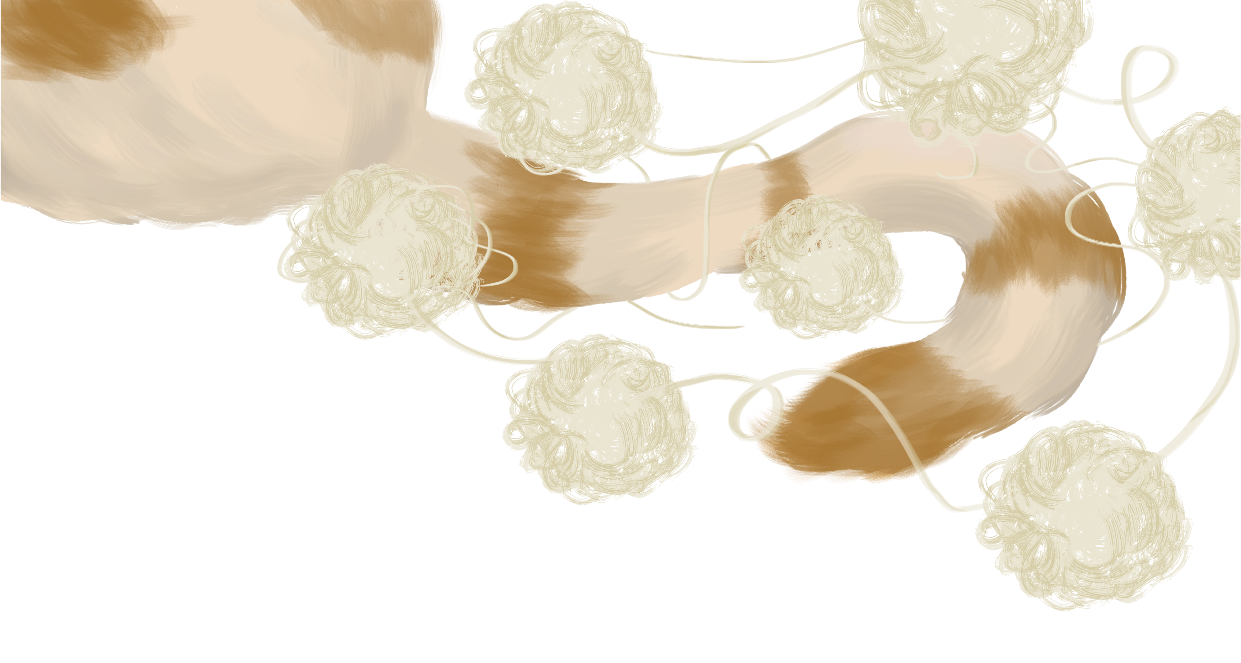 bg1